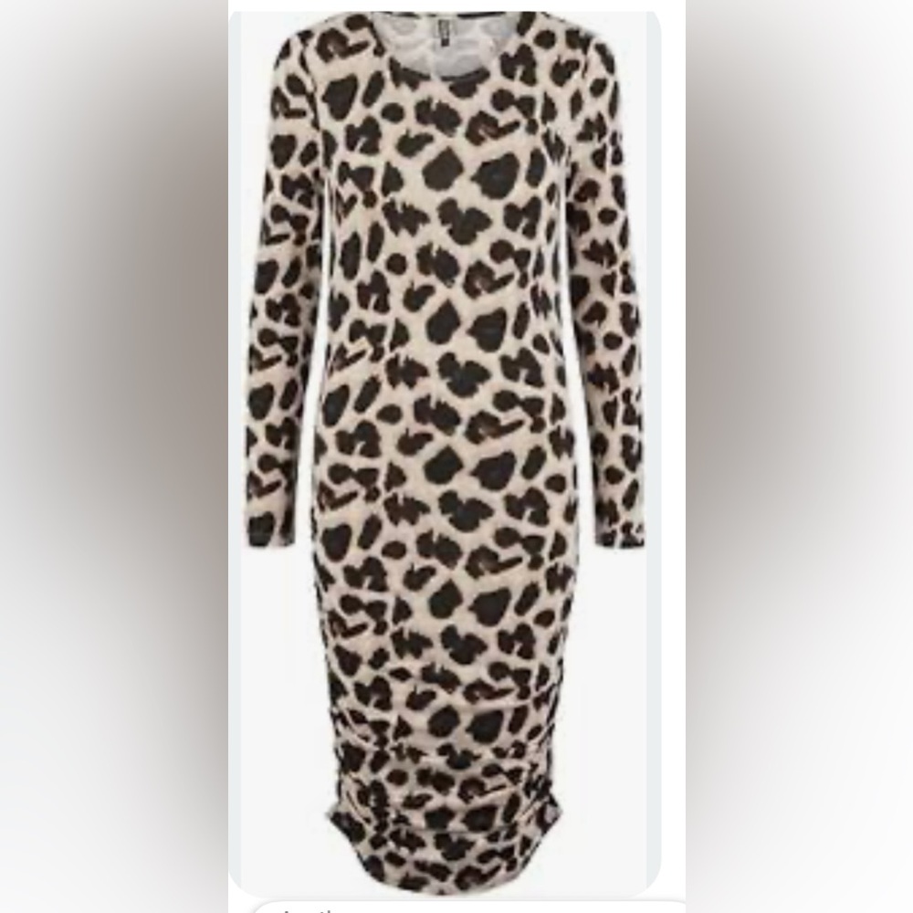 Leopard Print Long Sleeve Dress